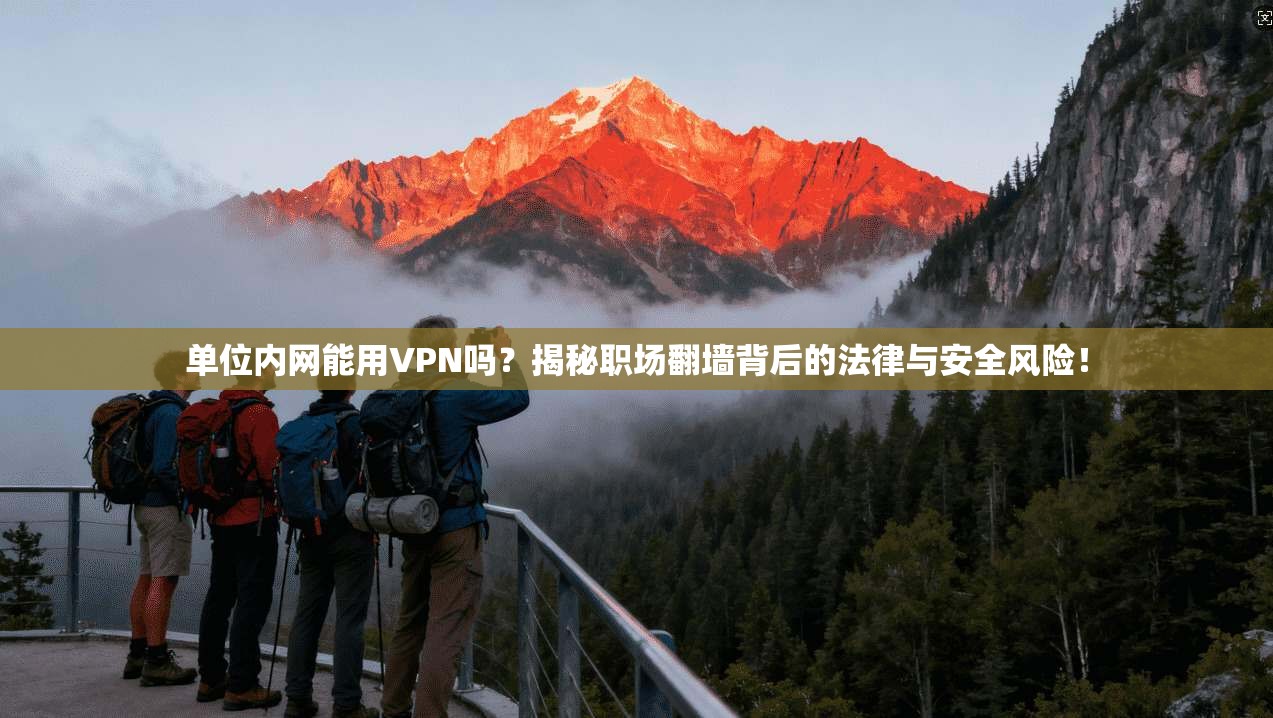 单位内网能用VPN吗？揭秘职场翻墙背后的法律与安全风险！