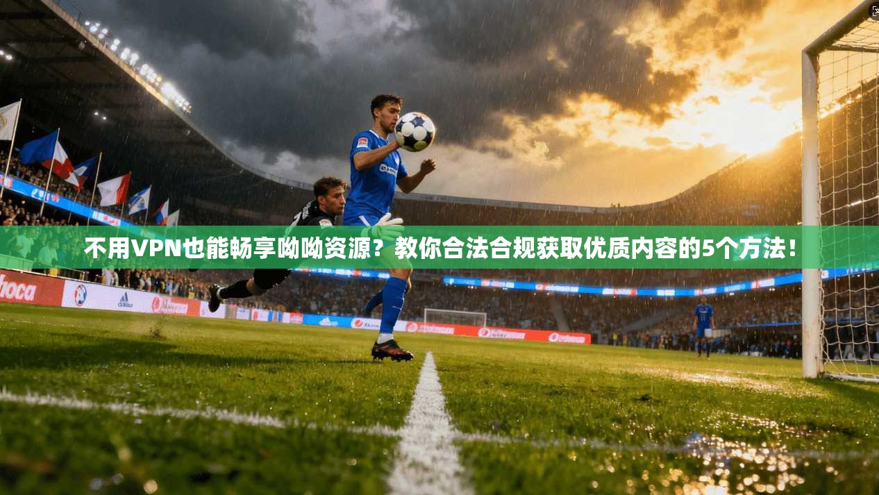 不用VPN也能畅享呦呦资源？教你合法合规获取优质内容的5个方法！