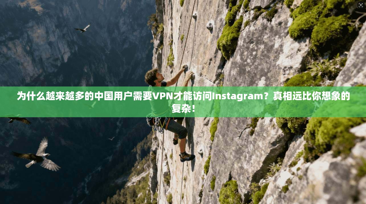 为什么越来越多的中国用户需要VPN才能访问Instagram？真相远比你想象的复杂！