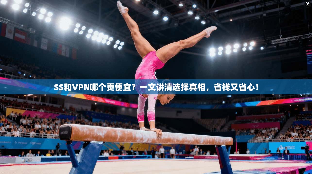 SS和VPN哪个更便宜？一文讲清选择真相，省钱又省心！