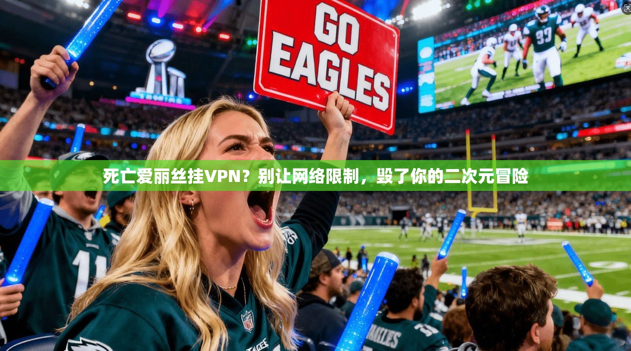 死亡爱丽丝挂VPN？别让网络限制，毁了你的二次元冒险