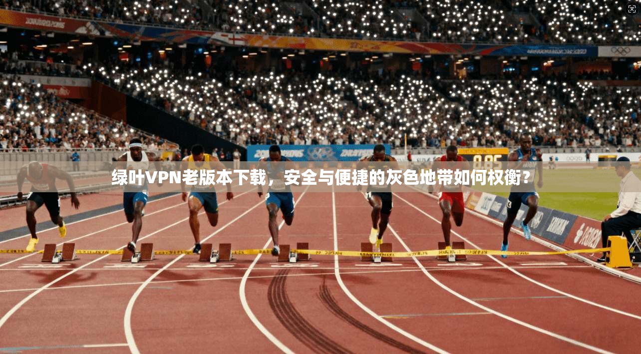 绿叶VPN老版本下载，安全与便捷的灰色地带如何权衡？