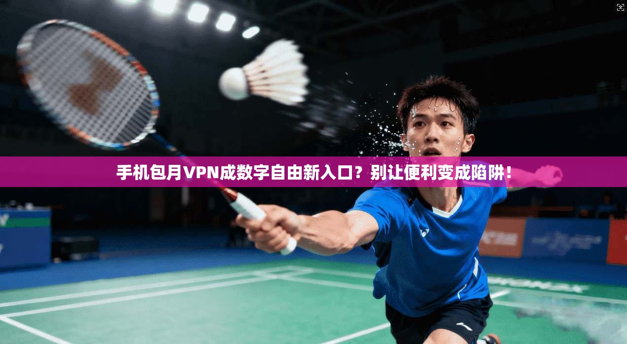 手机包月VPN成数字自由新入口？别让便利变成陷阱！