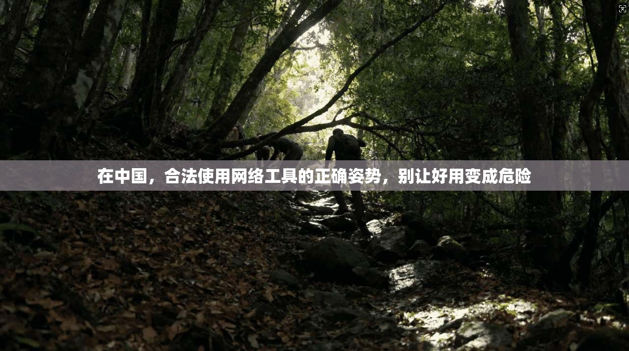 在中国，合法使用网络工具的正确姿势，别让好用变成危险