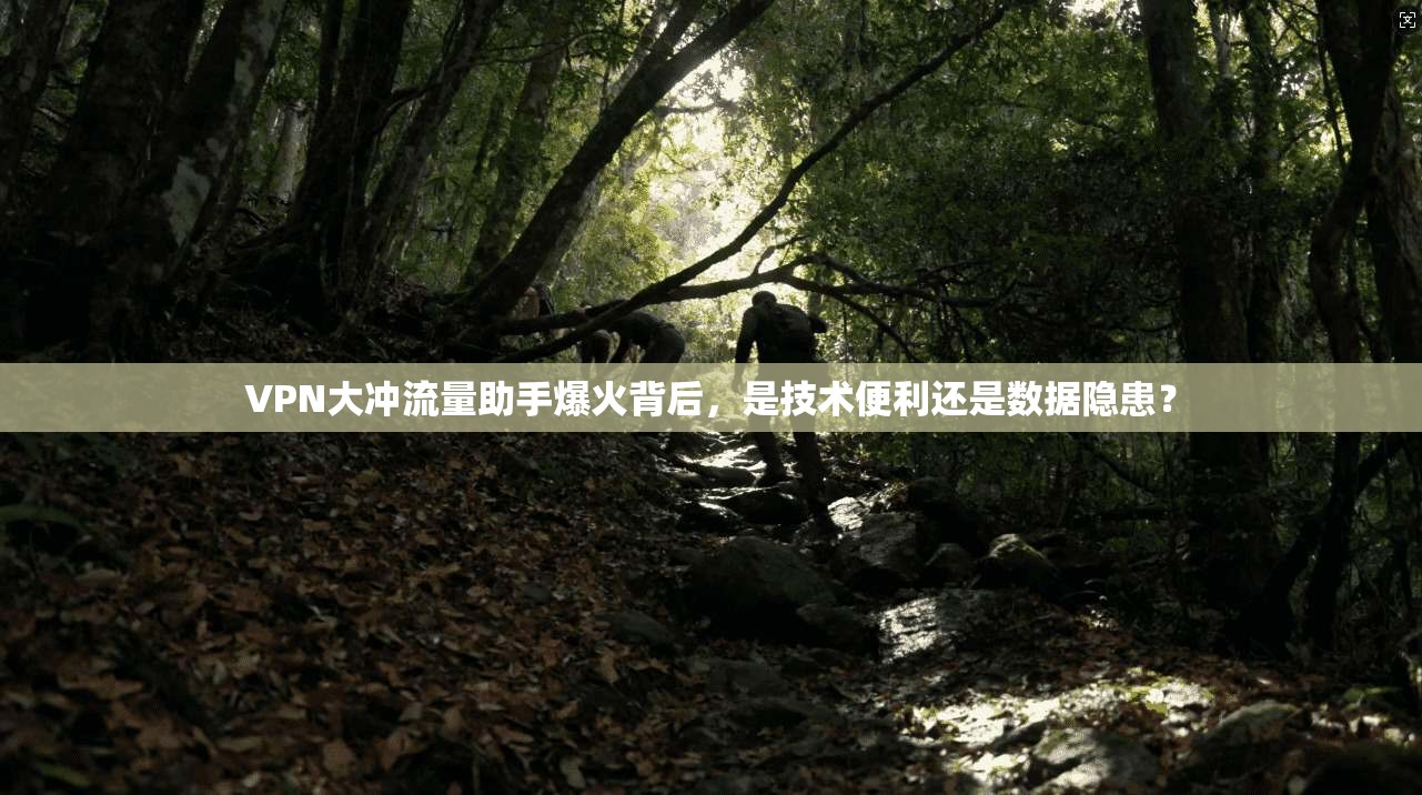 VPN大冲流量助手爆火背后，是技术便利还是数据隐患？