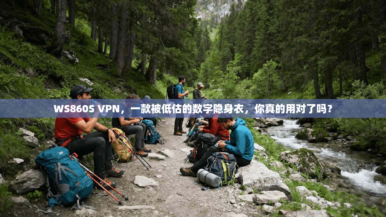WS860S VPN，一款被低估的数字隐身衣，你真的用对了吗？