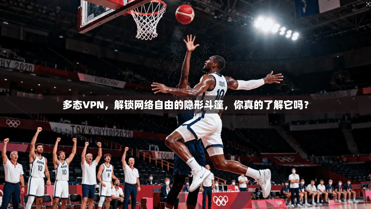 多态VPN，解锁网络自由的隐形斗篷，你真的了解它吗？