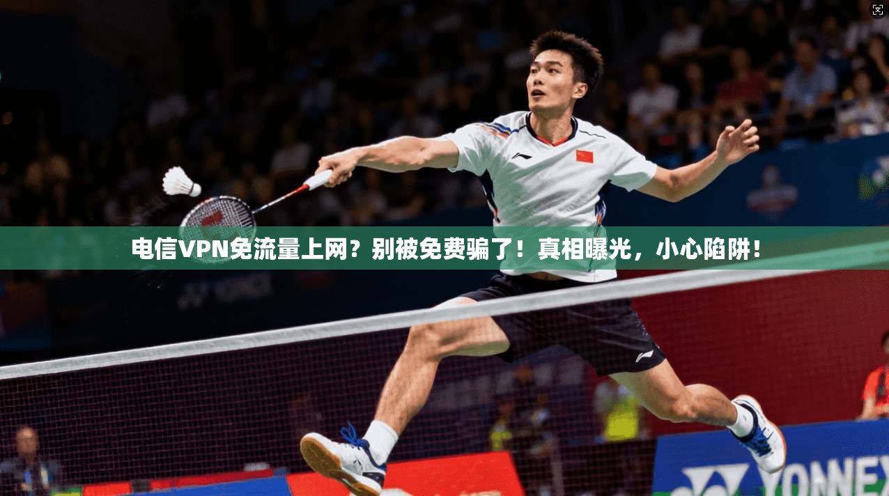 电信VPN免流量上网？别被免费骗了！真相曝光，小心陷阱！