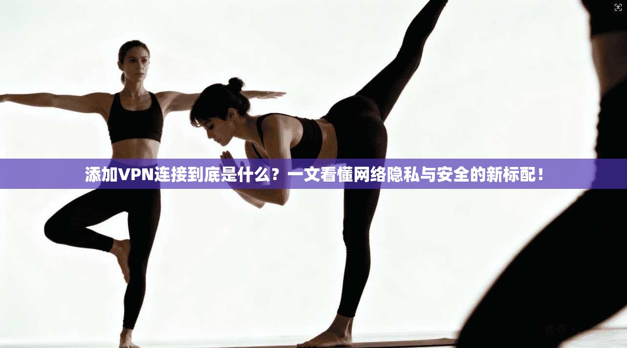 添加VPN连接到底是什么?一文看懂网络隐私与安全的新标配!