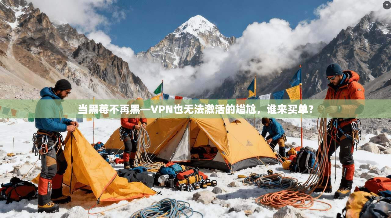 当黑莓不再黑—VPN也无法激活的尴尬,谁来买单?