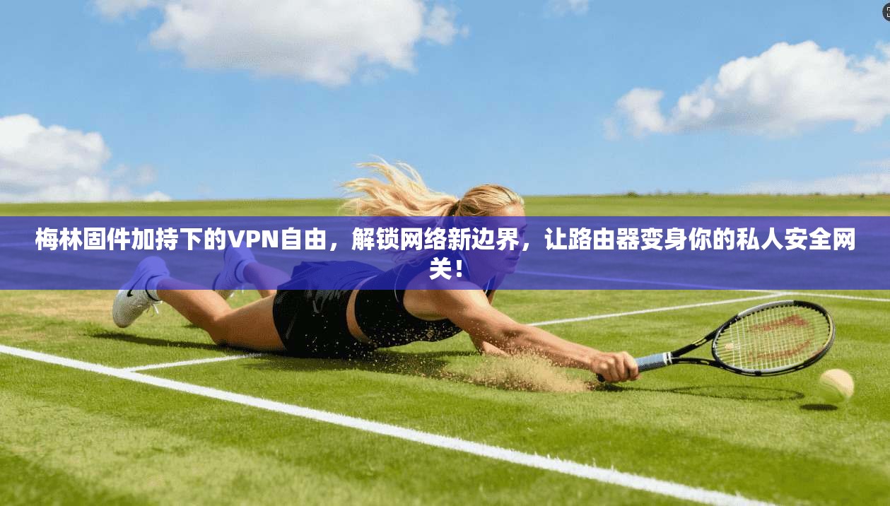 梅林固件加持下的VPN自由,解锁网络新边界,让路由器变身你的私人安全网关!