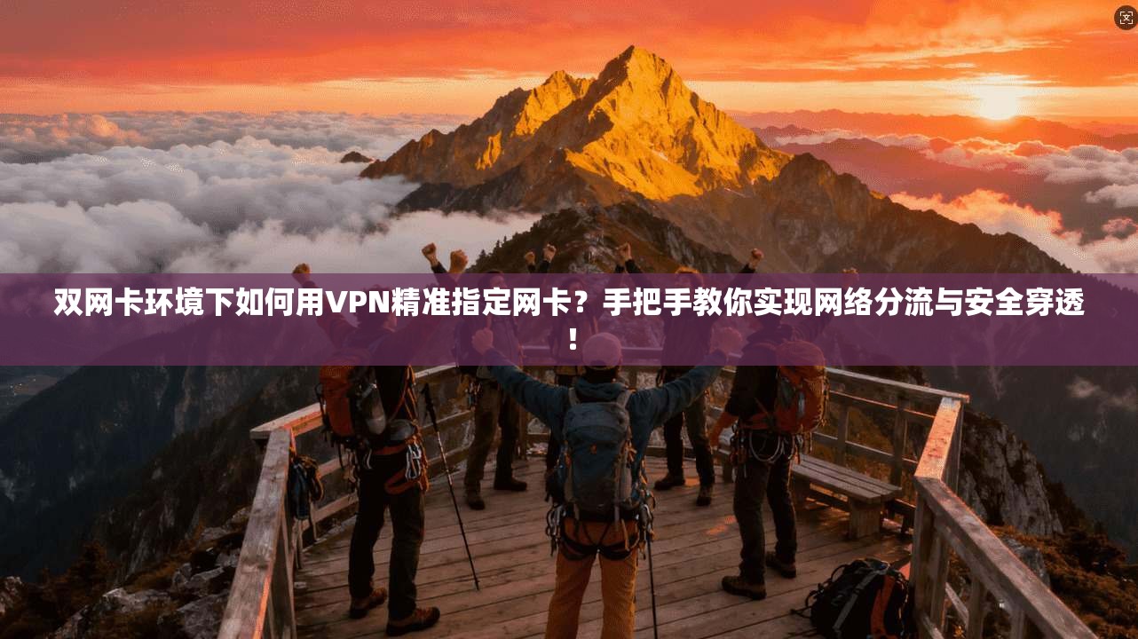 双网卡环境下如何用VPN精准指定网卡？手把手教你实现网络分流与安全穿透！