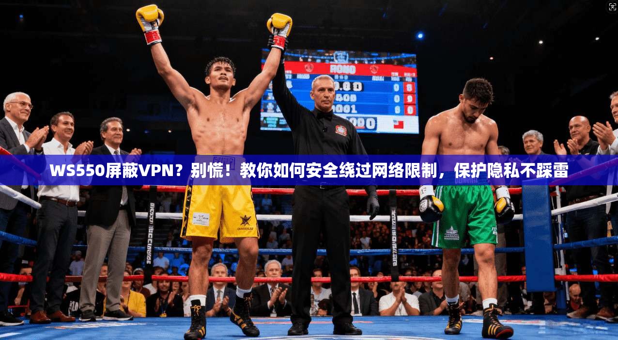 WS550屏蔽VPN?别慌!教你如何安全绕过网络限制,保护隐私不踩雷