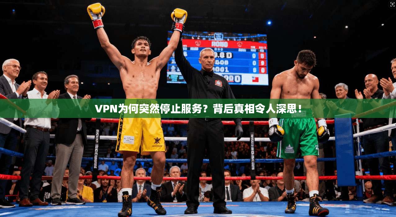 VPN为何突然停止服务？背后真相令人深思！