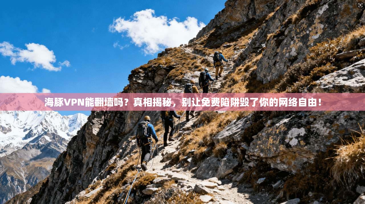 海豚VPN能翻墙吗?真相揭秘,别让免费陷阱毁了你的网络自由!