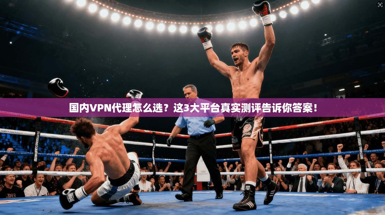 国内VPN代理怎么选？这3大平台真实测评告诉你答案！