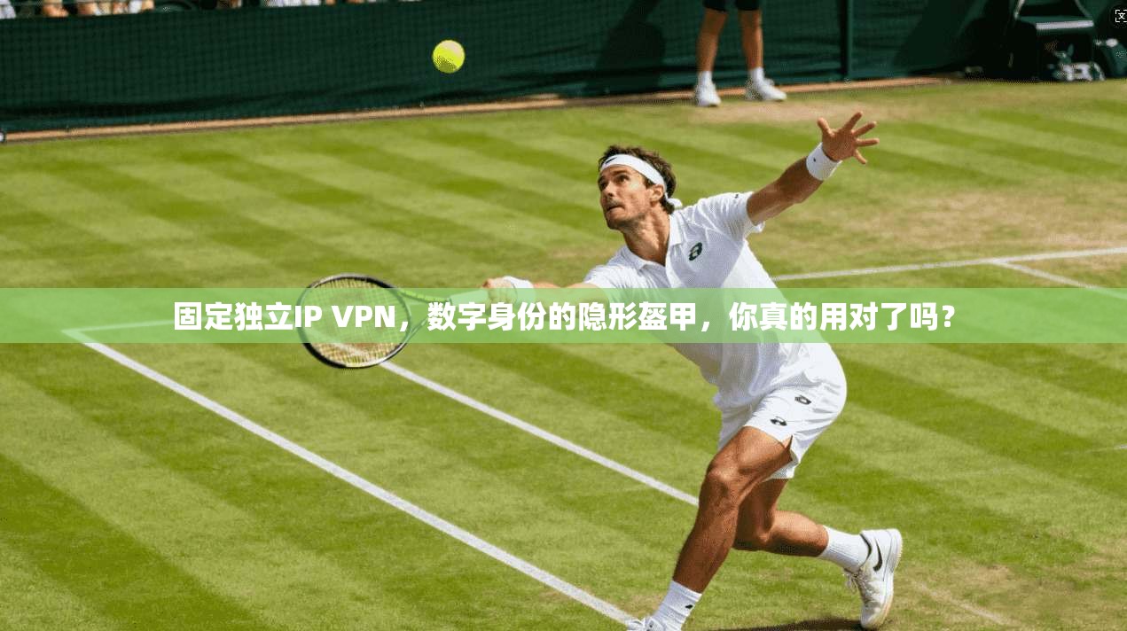 固定独立IP VPN，数字身份的隐形盔甲，你真的用对了吗？