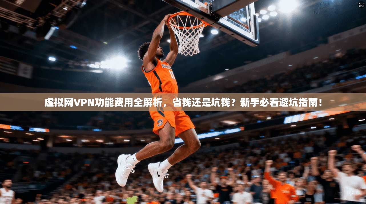虚拟网VPN功能费用全解析，省钱还是坑钱？新手必看避坑指南！
