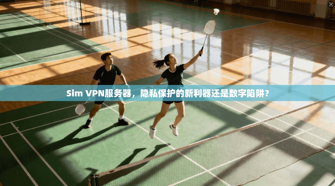 Sim VPN服务器，隐私保护的新利器还是数字陷阱？