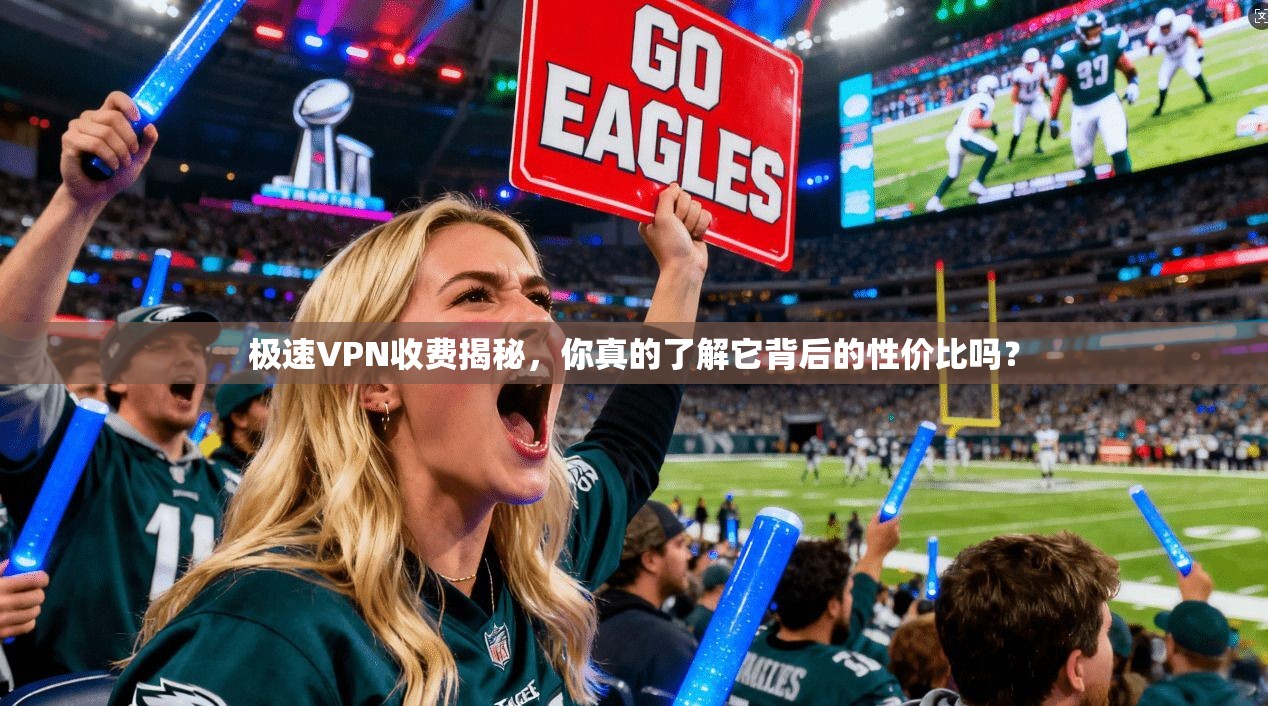 极速VPN收费揭秘，你真的了解它背后的性价比吗？