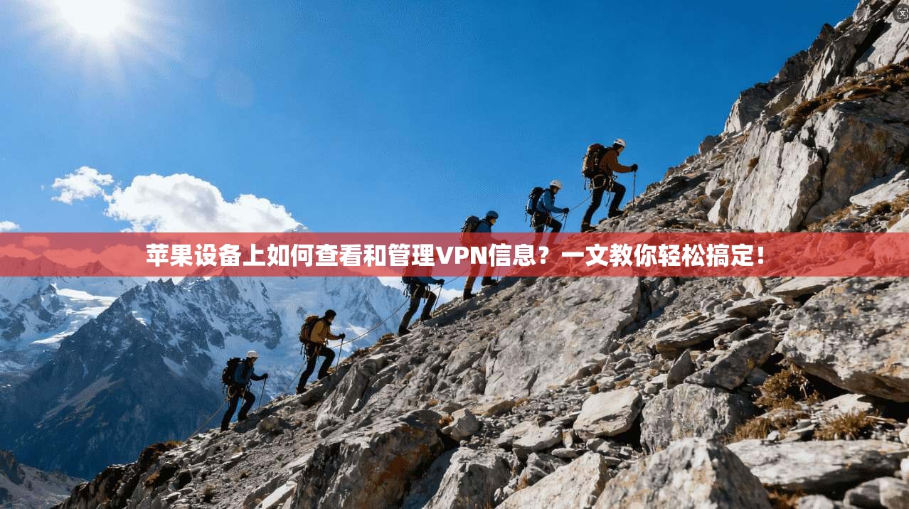 苹果设备上如何查看和管理VPN信息？一文教你轻松搞定！