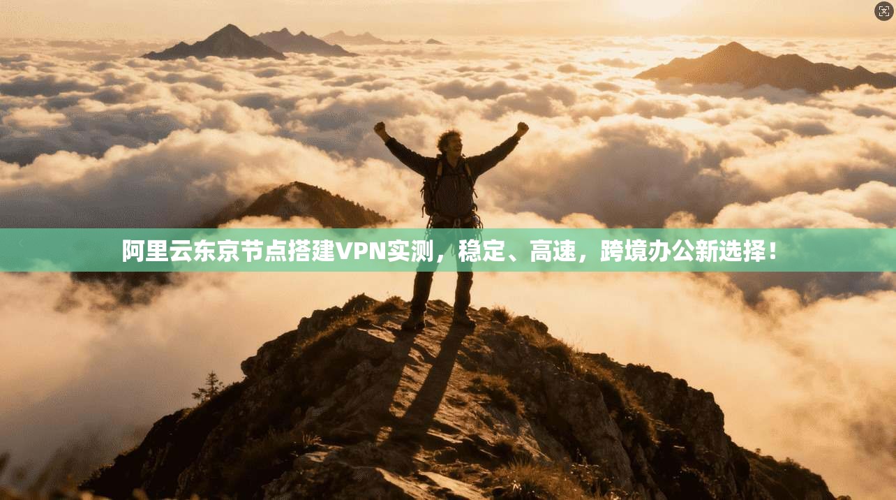 阿里云东京节点搭建VPN实测，稳定、高速，跨境办公新选择！