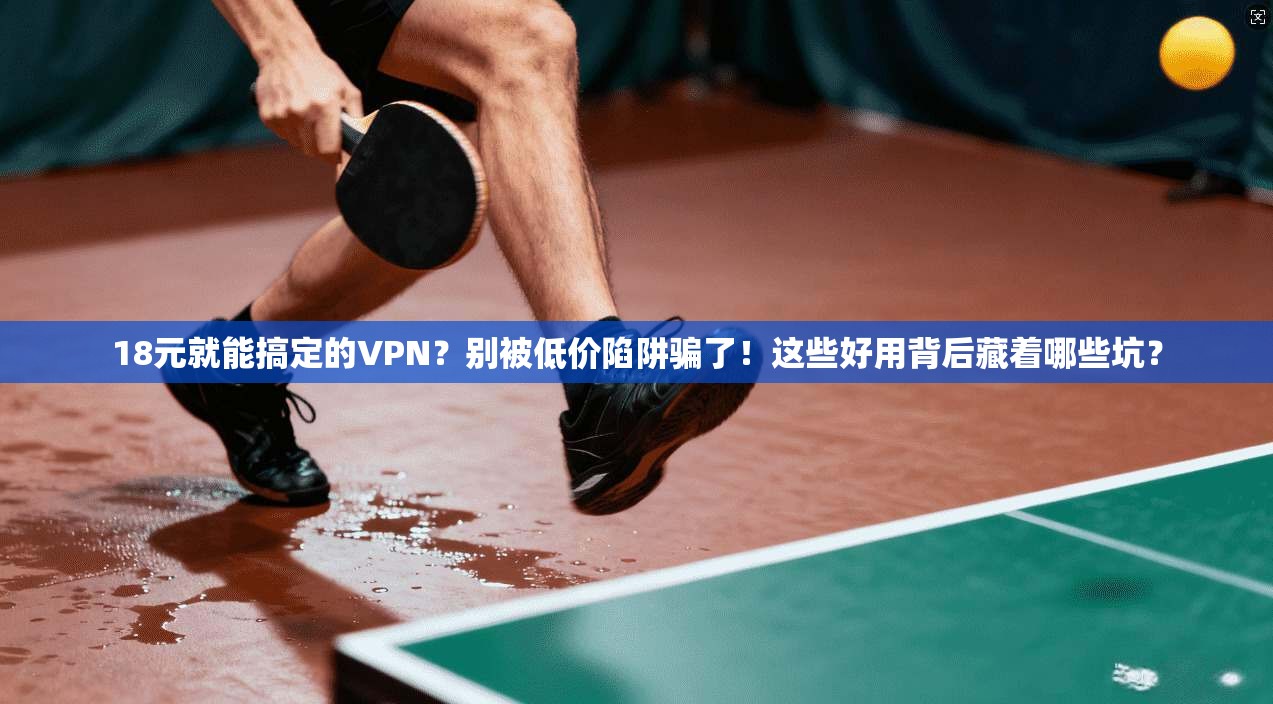 18元就能搞定的VPN？别被低价陷阱骗了！这些好用背后藏着哪些坑？