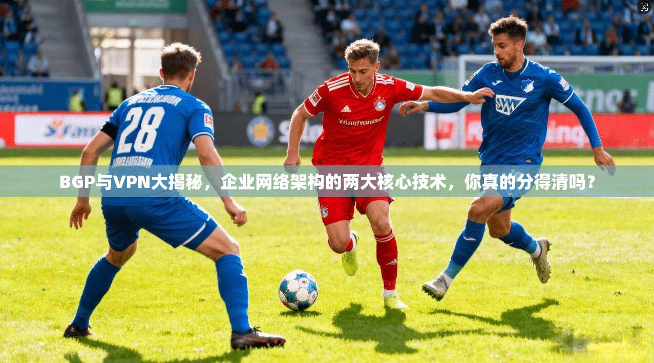 BGP与VPN大揭秘，企业网络架构的两大核心技术，你真的分得清吗？