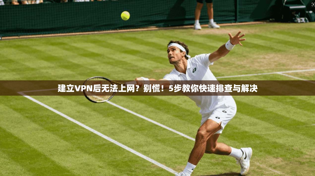 建立VPN后无法上网？别慌！5步教你快速排查与解决
