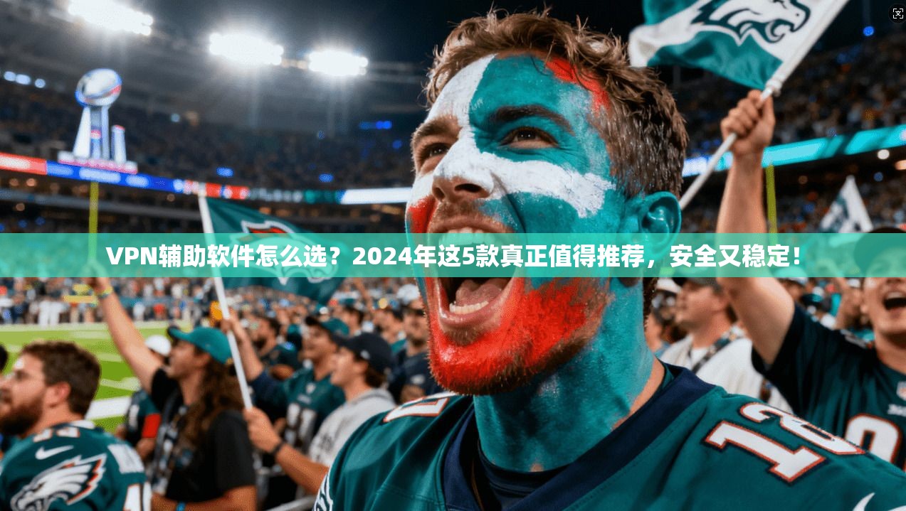 VPN辅助软件怎么选？2024年这5款真正值得推荐，安全又稳定！