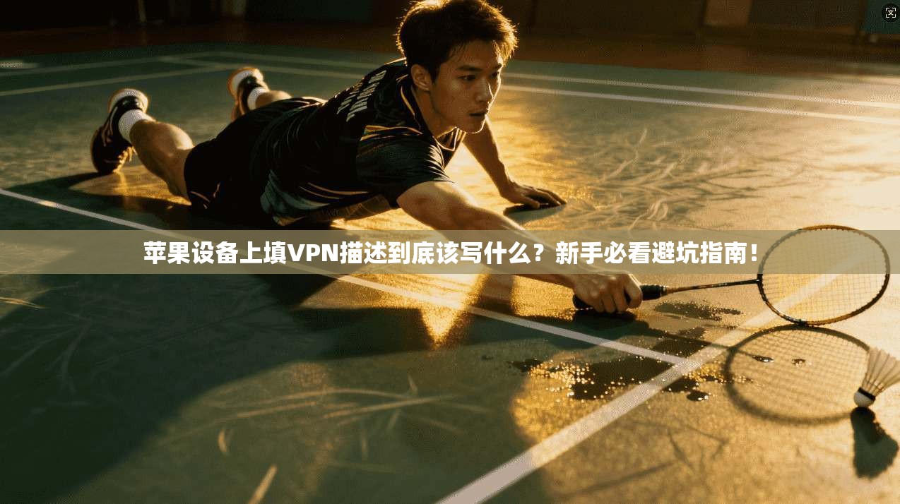 苹果设备上填VPN描述到底该写什么?新手必看避坑指南!