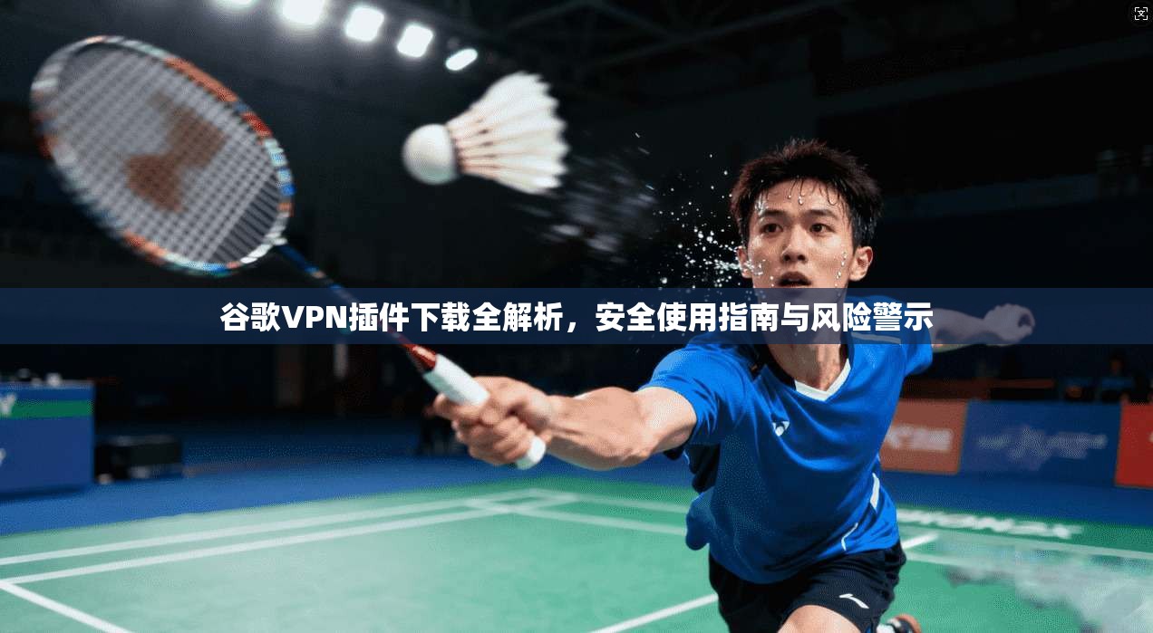 谷歌VPN插件下载全解析，安全使用指南与风险警示