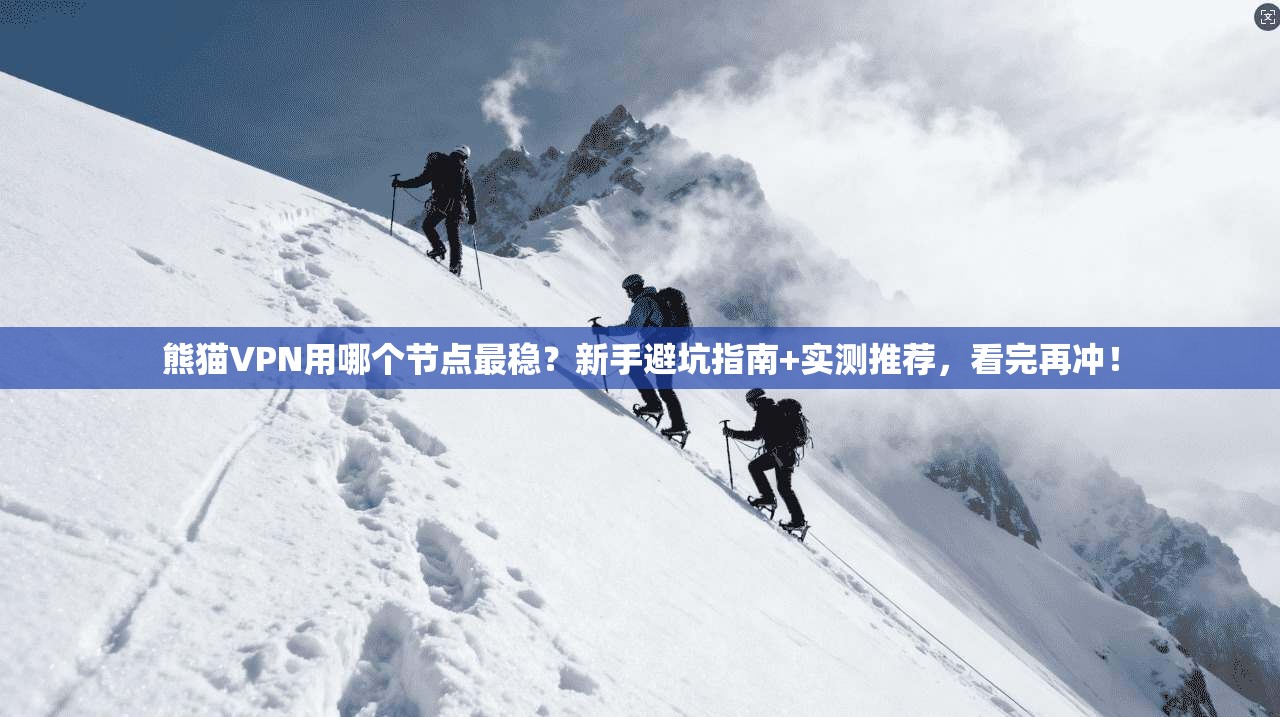 熊猫VPN用哪个节点最稳？新手避坑指南+实测推荐，看完再冲！