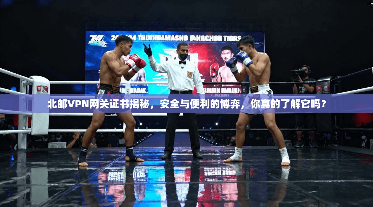北邮VPN网关证书揭秘,安全与便利的博弈,你真的了解它吗?