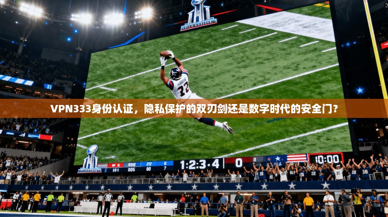 VPN333身份认证，隐私保护的双刃剑还是数字时代的安全门？