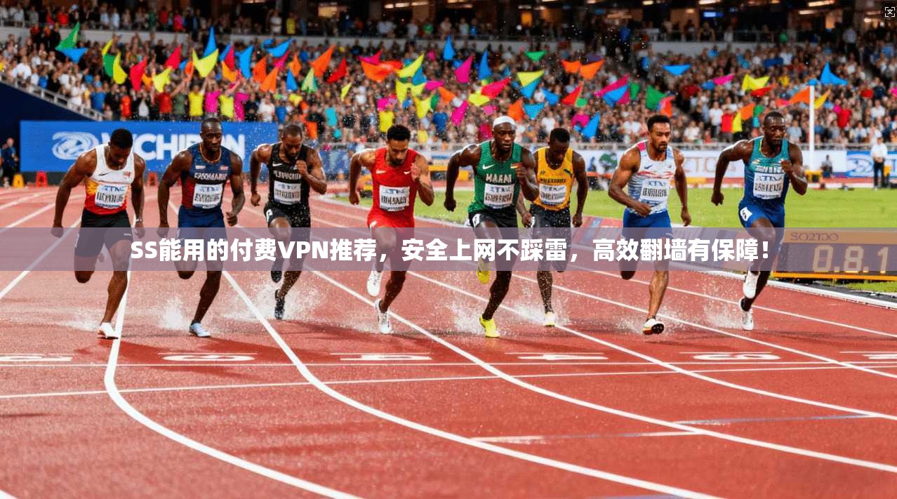 SS能用的付费VPN推荐，安全上网不踩雷，高效翻墙有保障！