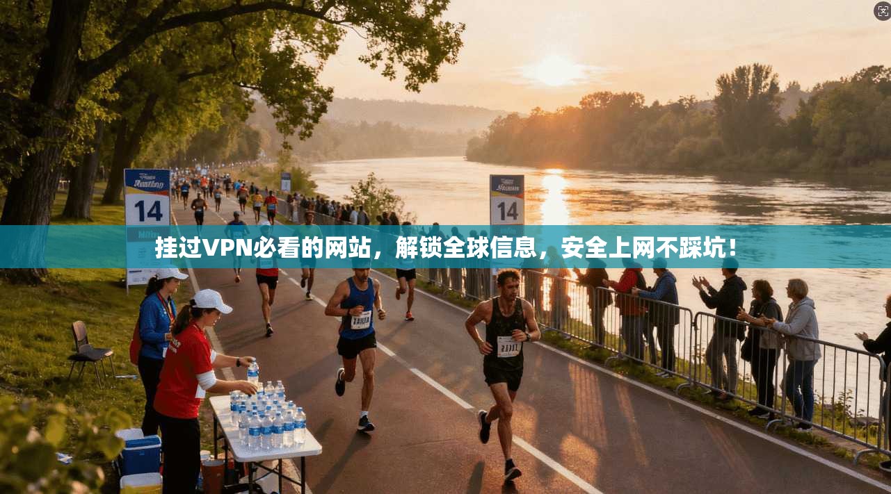 挂过VPN必看的网站,解锁全球信息,安全上网不踩坑!