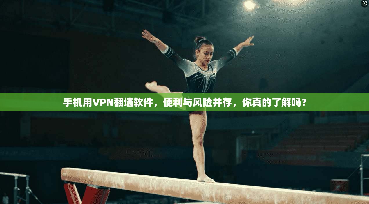 手机用VPN翻墙软件，便利与风险并存，你真的了解吗？