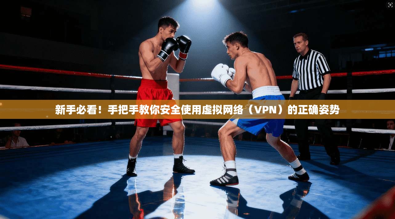 新手必看!手把手教你安全使用虚拟网络(VPN)的正确姿势