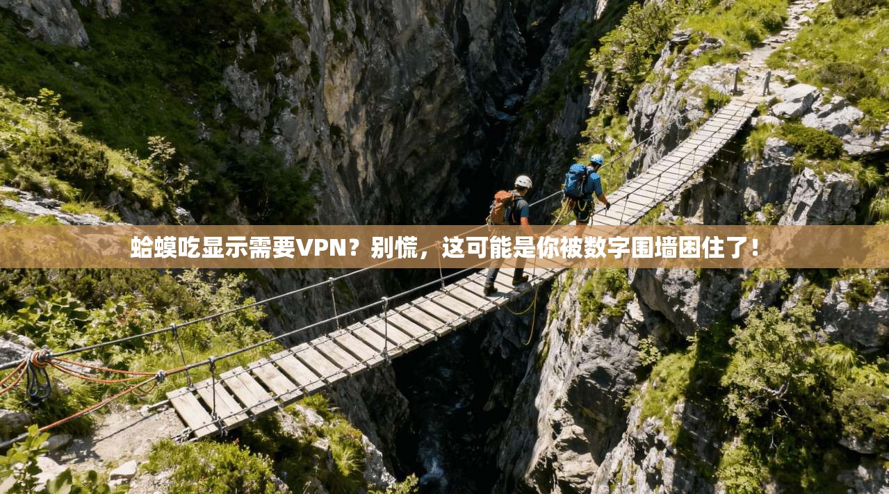 蛤蟆吃显示需要VPN？别慌，这可能是你被数字围墙困住了！