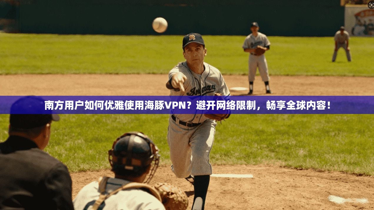 南方用户如何优雅使用海豚VPN？避开网络限制，畅享全球内容！