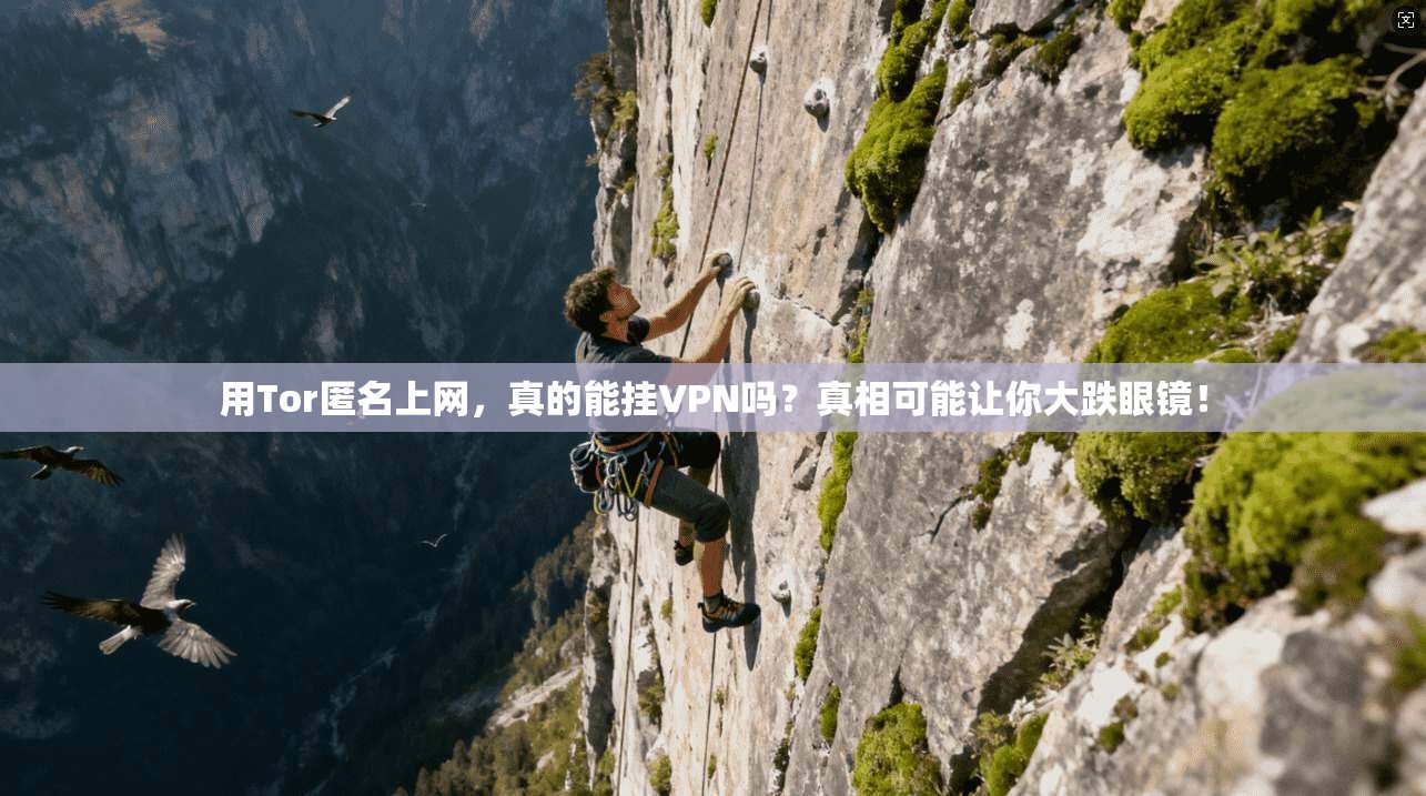 用Tor匿名上网，真的能挂VPN吗？真相可能让你大跌眼镜！