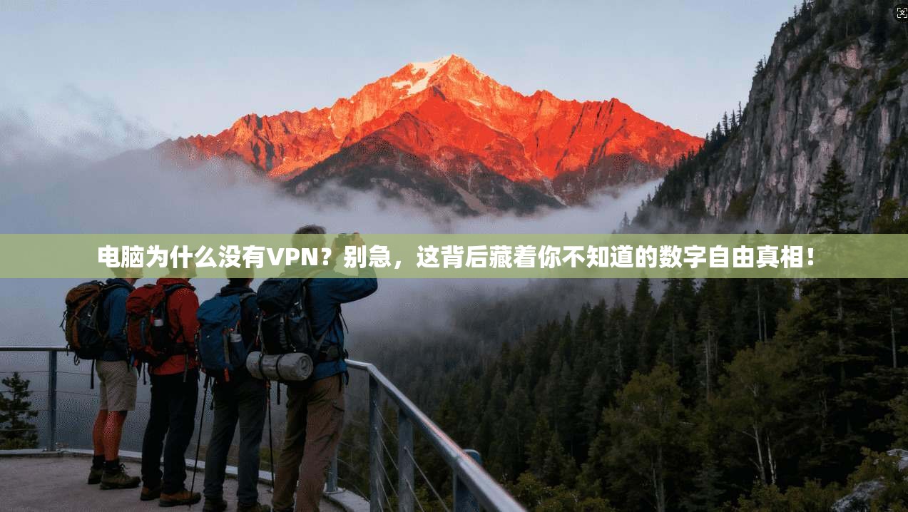 电脑为什么没有VPN?别急,这背后藏着你不知道的数字自由真相!