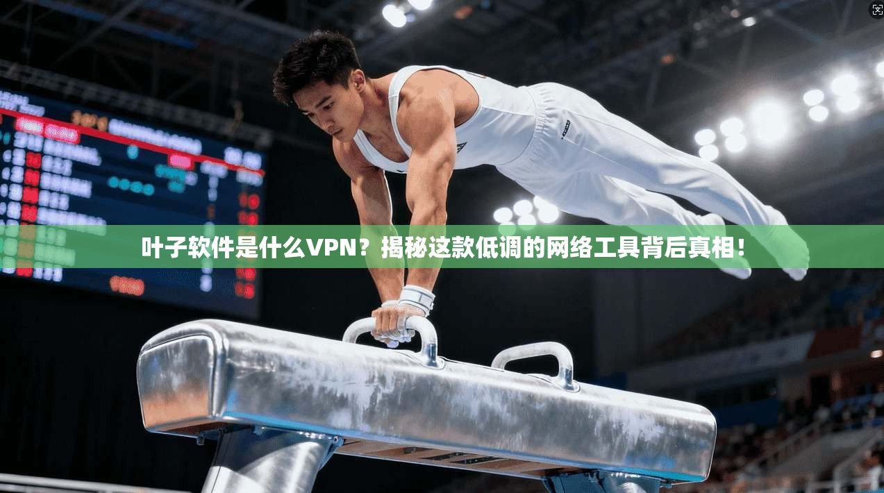 叶子软件是什么VPN？揭秘这款低调的网络工具背后真相！