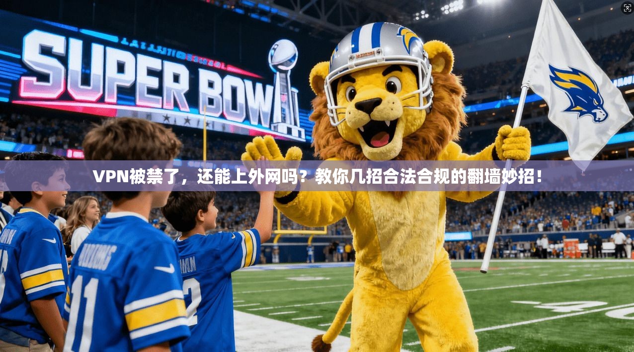 VPN被禁了,还能上外网吗?教你几招合法合规的翻墙妙招!