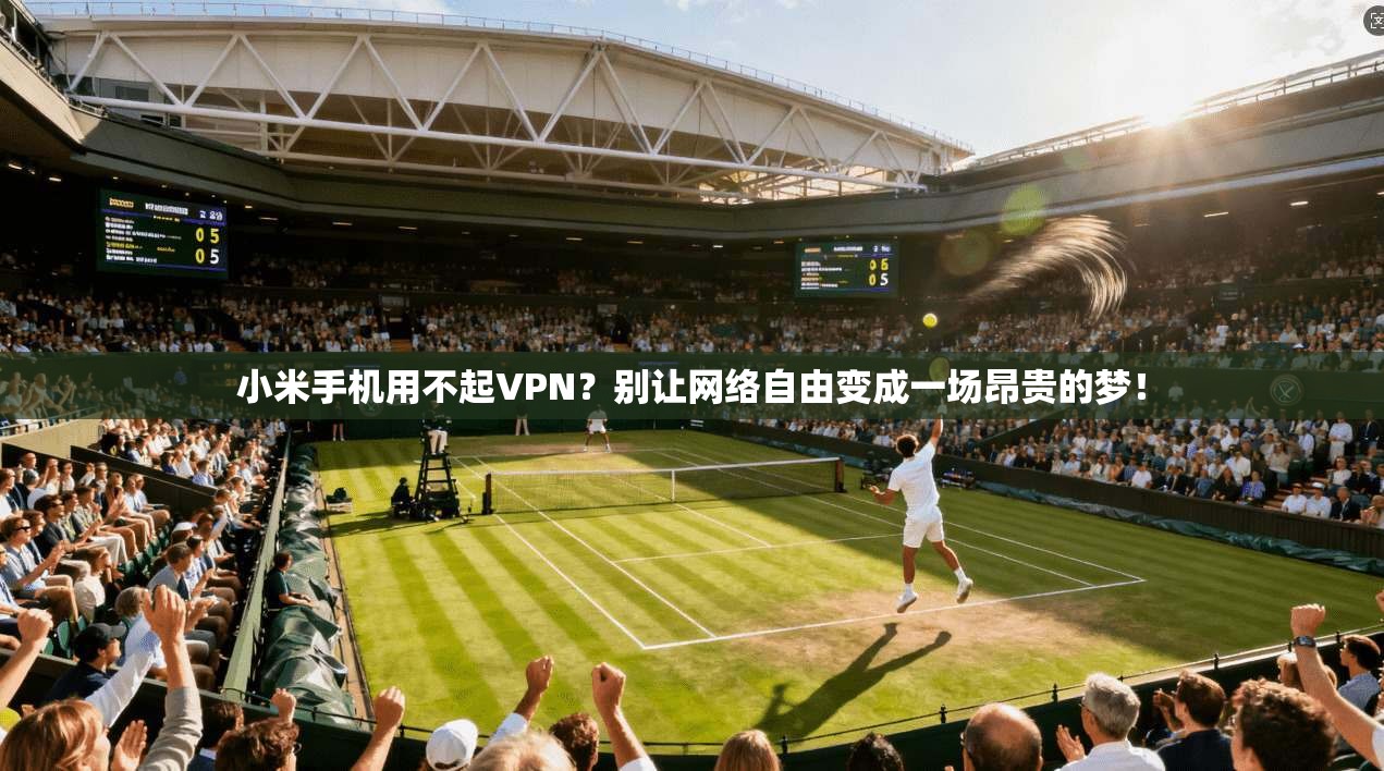 小米手机用不起VPN？别让网络自由变成一场昂贵的梦！
