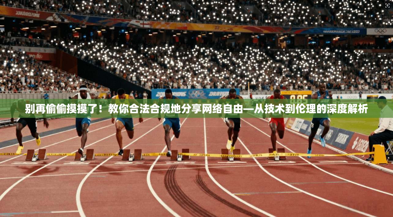 别再偷偷摸摸了!教你合法合规地分享网络自由—从技术到伦理的深度解析