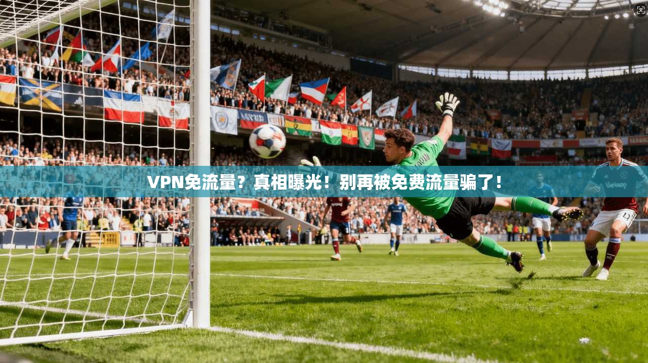 VPN免流量？真相曝光！别再被免费流量骗了！