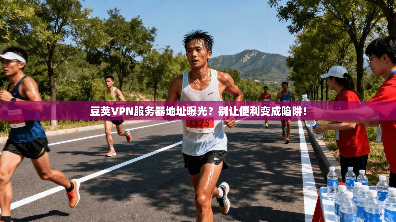 豆荚VPN服务器地址曝光？别让便利变成陷阱！