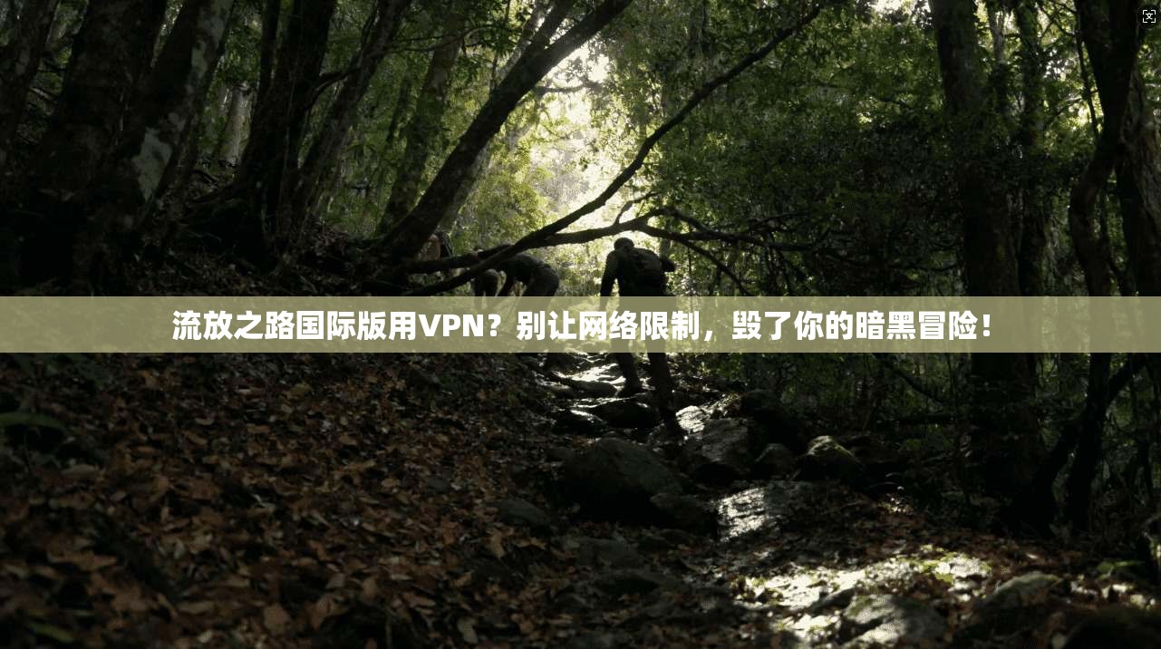 流放之路国际版用VPN?别让网络限制,毁了你的暗黑冒险!